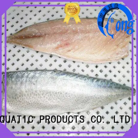 LongSheng best frozen pacific mackerel Supply