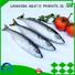 fish mackerel for sale for hotel LongSheng