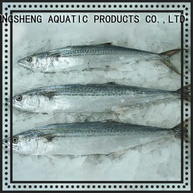 LongSheng wholesale fresh frozen fish Suppliers for market