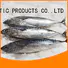 bulk buy frozen bonito fish prices round factory for family