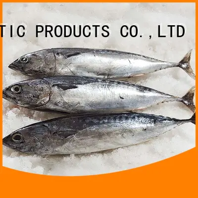 bulk buy frozen bonito fish prices round factory for family