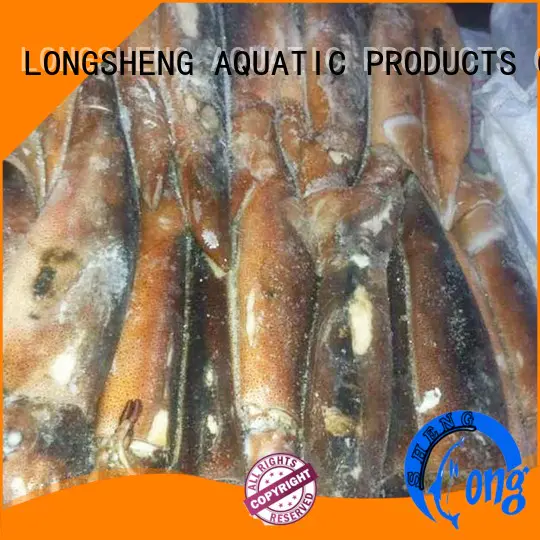 LongSheng chinese frozen whole squid manufacturer for cafe