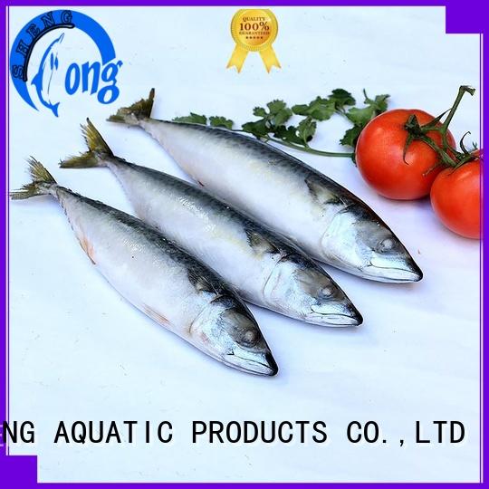 good quality frozen fish whole supplier