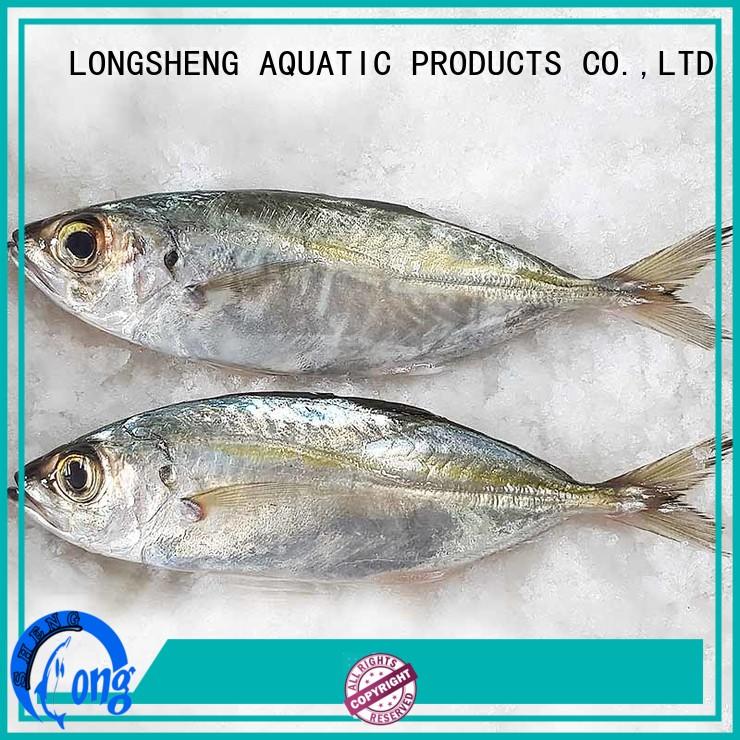 Horse mackerel frozen fish whole round (Trachurus Japonicus)
