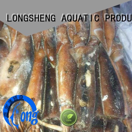 fish squid frozen manufacturer for cafe LongSheng