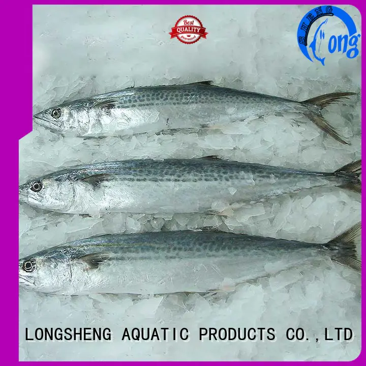 LongSheng technical frozen spanish mackerel series for seafood shop