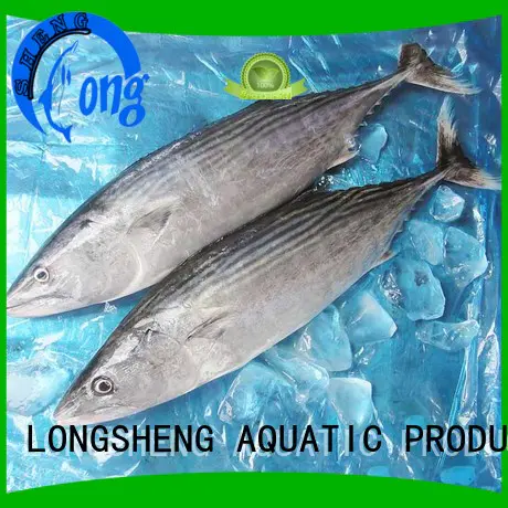 professional frozen albacore tuna price frozen for business for party