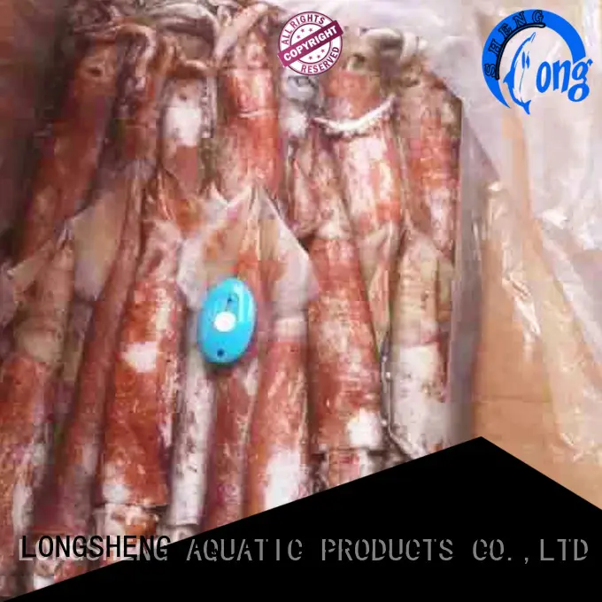 LongSheng natural squid frozen on sale for restaurant