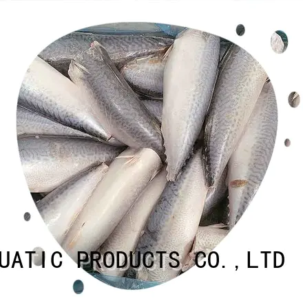 LongSheng flaps frozen mackerel china for business