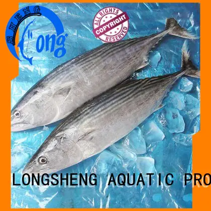LongSheng clean frozen albacore tuna sarda for family