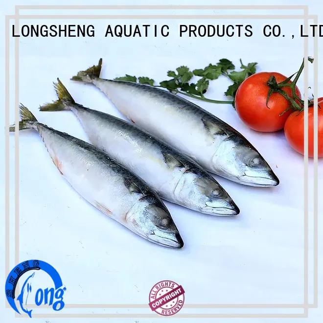 LongSheng best frozen mackerel fish food for supermarket