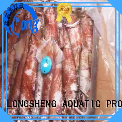 LongSheng illex squid frozen online for hotel