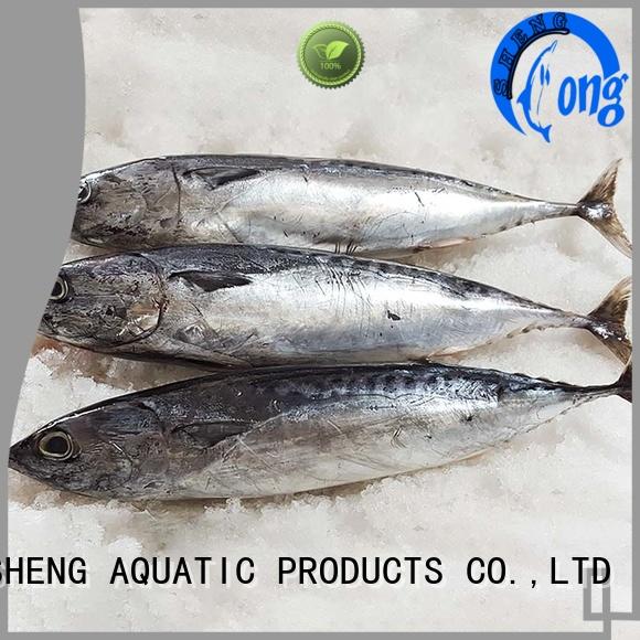 frozen fish frozen online for market LongSheng