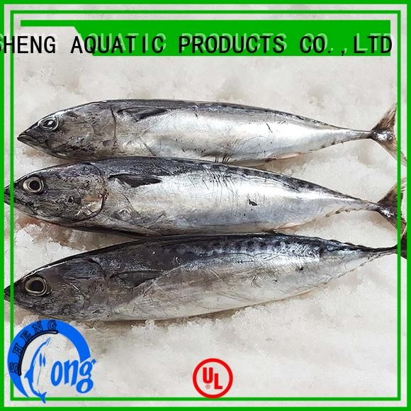 LongSheng New frozen bonito for sale for business for seafood shop