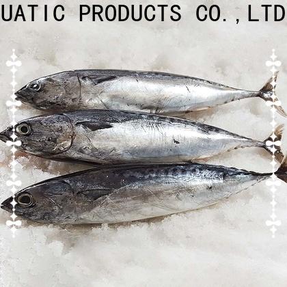 New frozen skipjack for sale bonito Suppliers for market