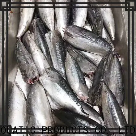 LongSheng high quality frozen bonito fish Suppliers for supermarket
