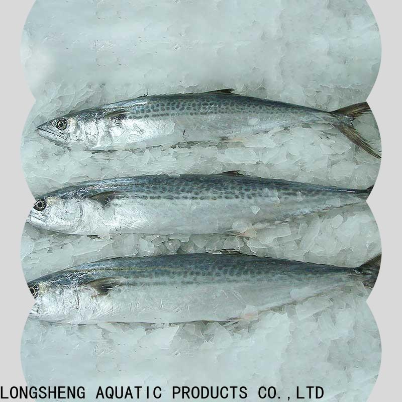 wholesale quality frozen fish spanish manufacturers for market