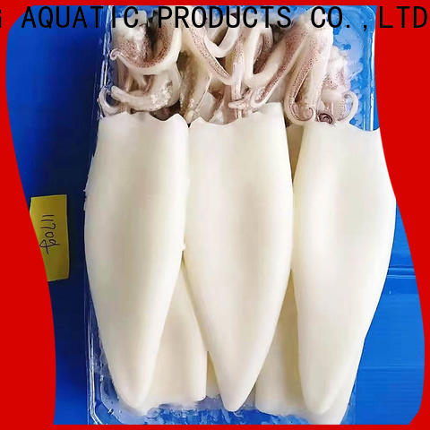 LongSheng whole frozen squid sale manufacturers for cafe