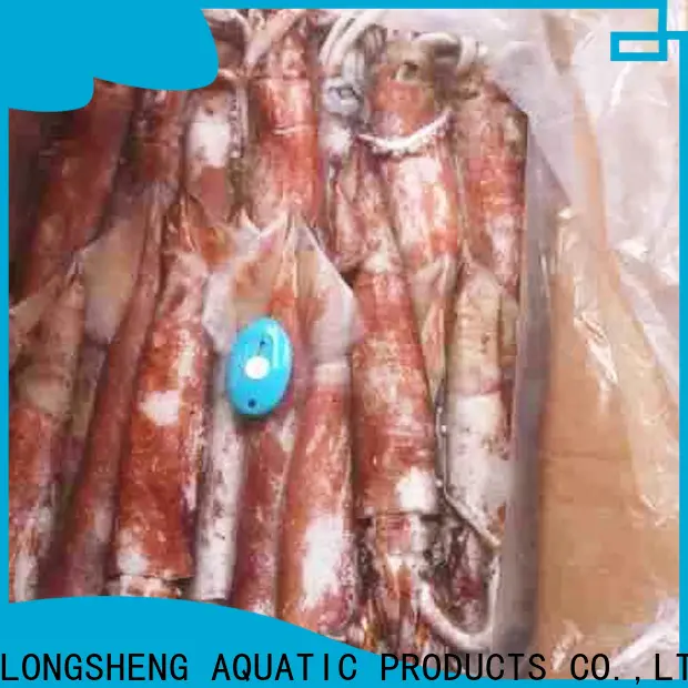 LongSheng frozen whole uncleaned squid Suppliers for restaurant