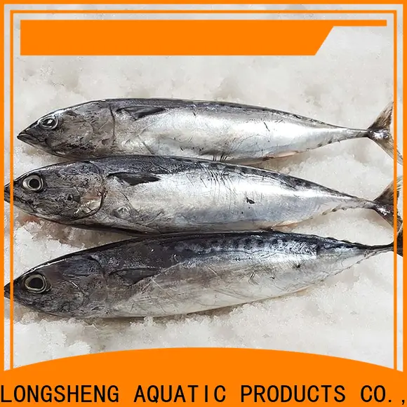 Latest Bonito whole round frozen for business for market