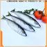 bulk purchase buy frozen mackerel frozen Supply for hotel