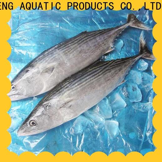LongSheng tuna frozen fish wholesale factory for family