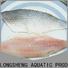 bulk purchase frozen at sea fish suppliers fillet company for supermarket