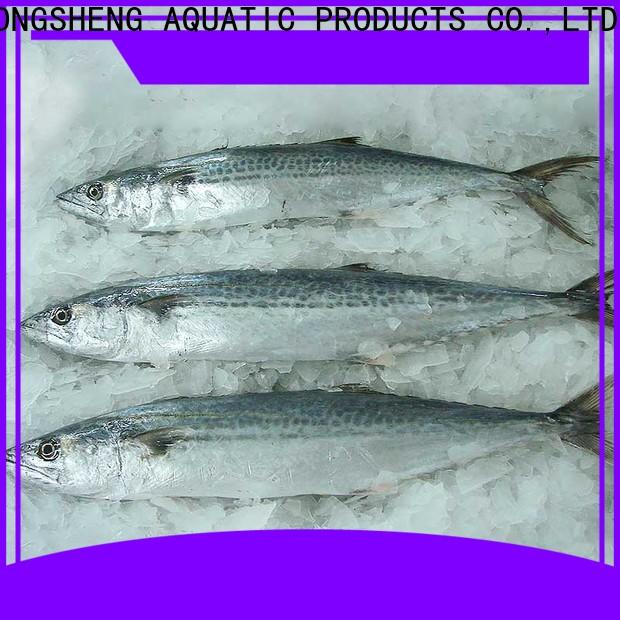 LongSheng New frozen spanish mackerel whole round company for supermarket