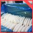 healthy frozen squid loligo suppliers cuttlefish for business for hotel