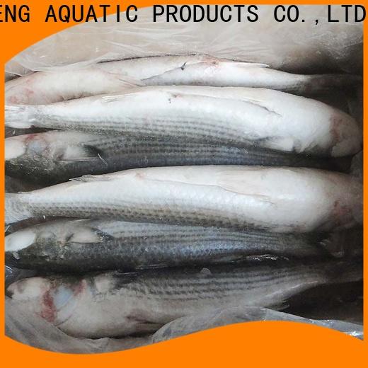 LongSheng Top frozen fish supplier company for market