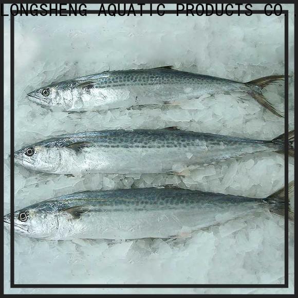 LongSheng security frozen spanish mackerel for supermarket