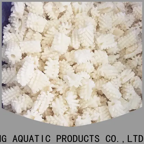 LongSheng bulk purchase frozen whole uncleaned squid for sale for business for restaurant