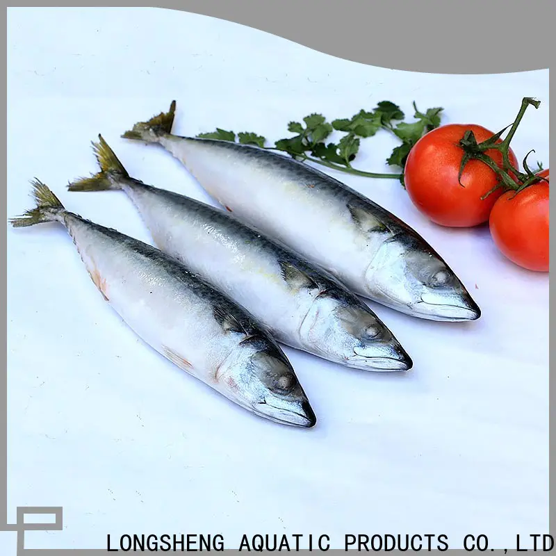 LongSheng best frozen chub mackerel for business for market