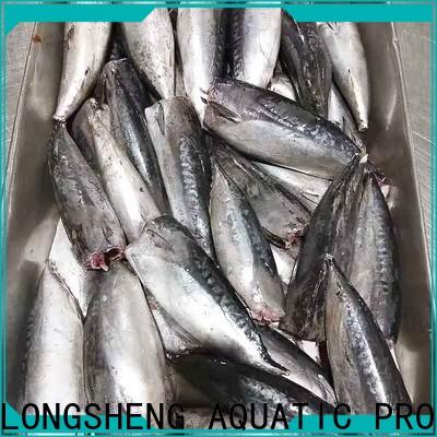 security bonito for sale fish Suppliers for market