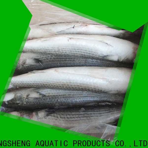 LongSheng professional frozen grey mullet Suppliers for restaurant
