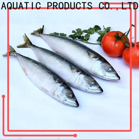 LongSheng hgt buy frozen mackerel Suppliers