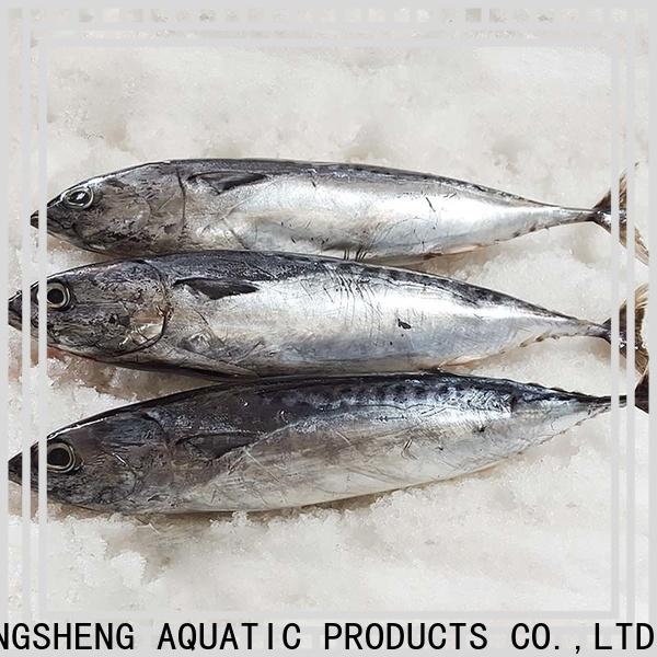 LongSheng bulk buy frozen bonito fish price for business for family