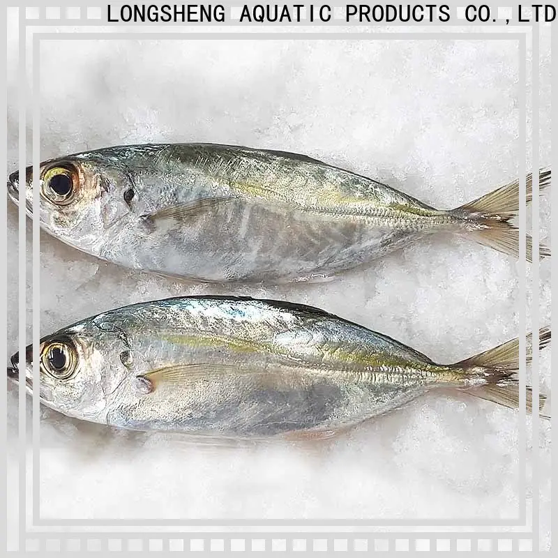 LongSheng horse horse mackerel frozen fish for business for hotel