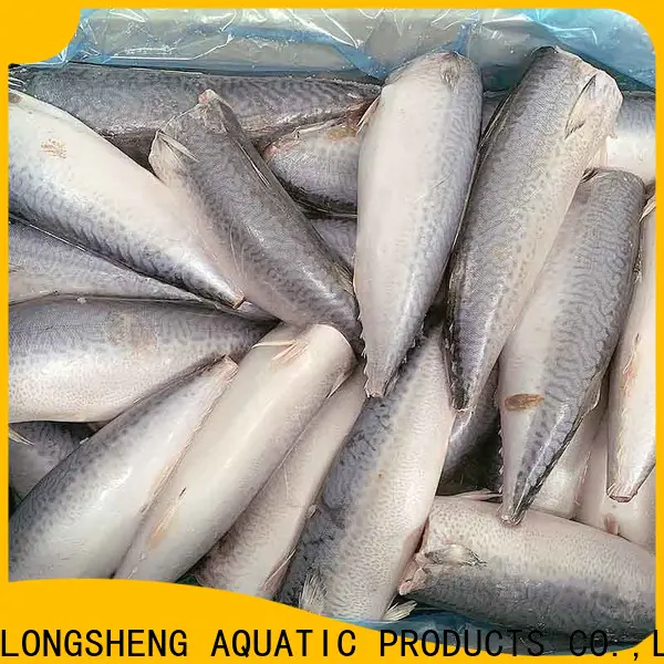 bulk buy frozen mackerel fish for sale hgt