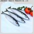 bulk purchase fresh frozen fish fish manufacturers for supermarket