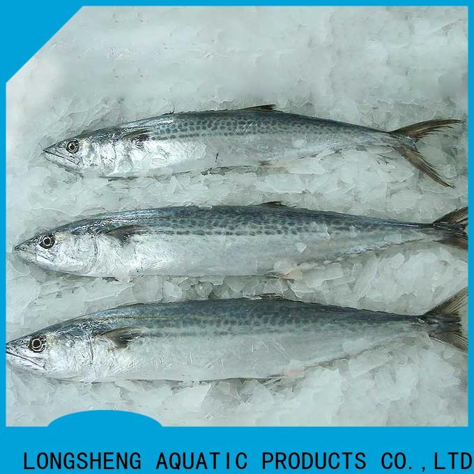 LongSheng spanish frozen spanish mackerel fillet factory for market