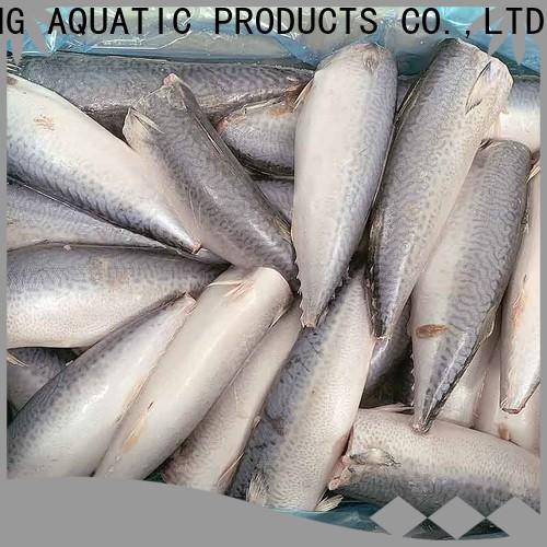 LongSheng Best frozen mackerel fillet manufacturers