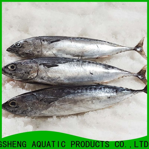 LongSheng High-quality bonito fish price for market