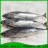 LongSheng High-quality bonito fish price for market