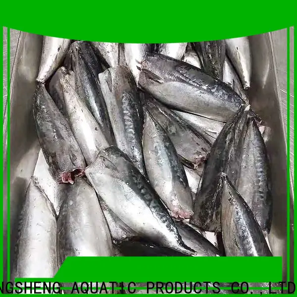bulk purchase bonito whole frozen fish manufacturers for market