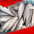 LongSheng fillet frozen mackerel prices