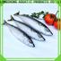 LongSheng tasty pacific mackerel wr for supermarket