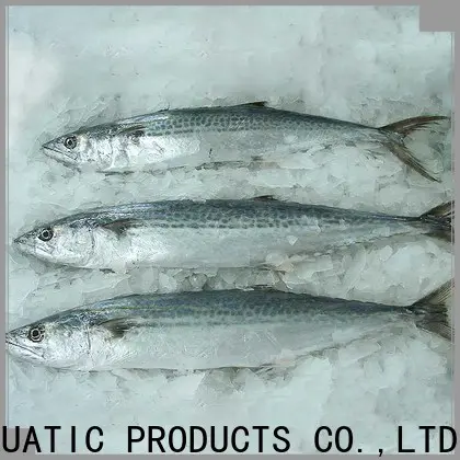LongSheng whole frozen spanish mackerel fillets company for seafood market