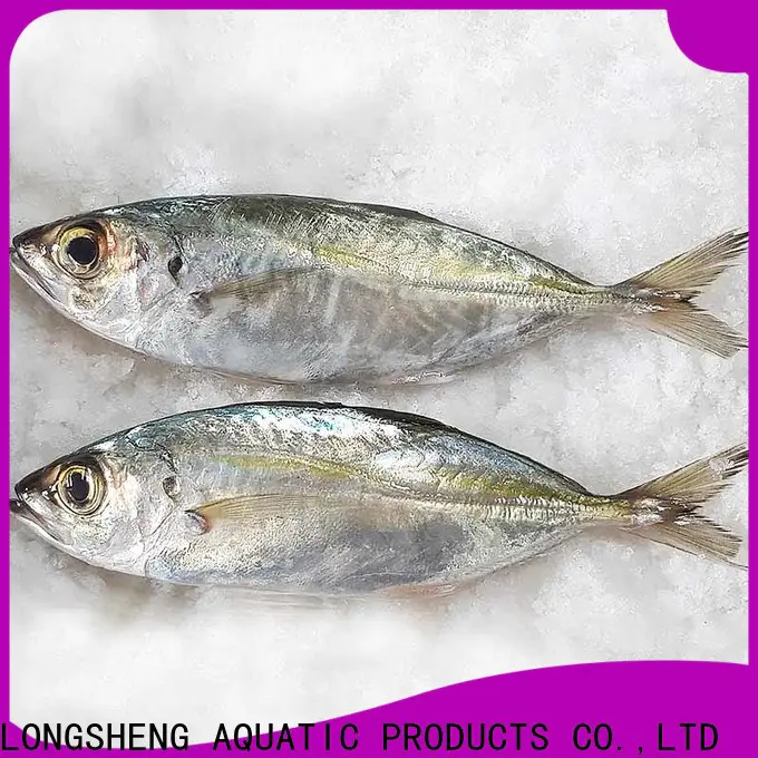 LongSheng round frozen horse mackerel prices company for hotel