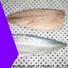 LongSheng wholesale frozen mackerel china for business for market